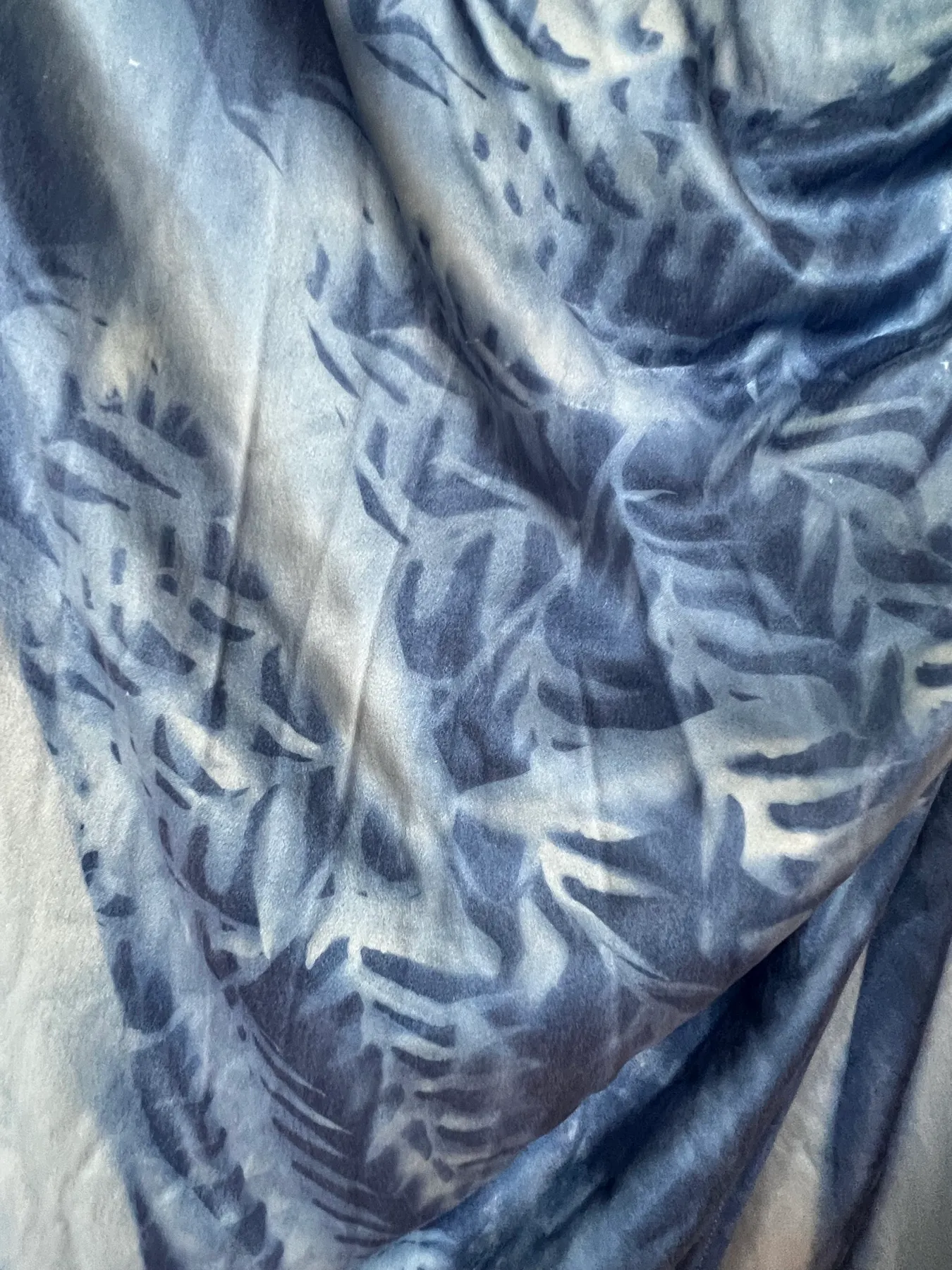 Fern fronds.
